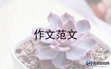 写陶罐的作文优秀8篇