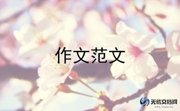 我最喜欢玩的作文300字5篇