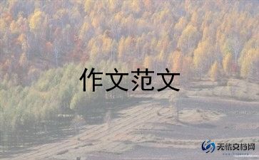 王子军的作文模板6篇