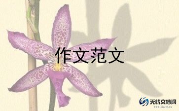 妈妈我想对您说400作文最新8篇