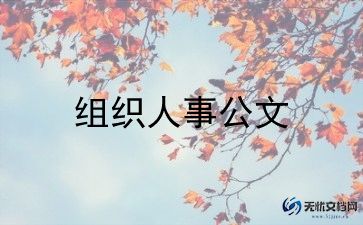 组织建设年活动总结6篇