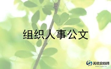 人事主管试用期的工作总结5篇