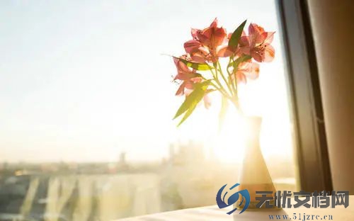 大学生自我鉴定精选范文三篇