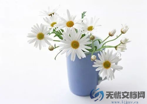 人大代表建议将中考取消
