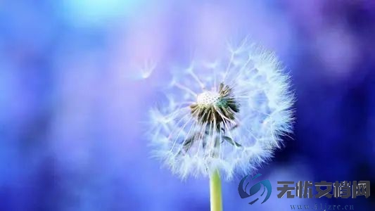 今日两会看点：政协开启首场新闻发布会