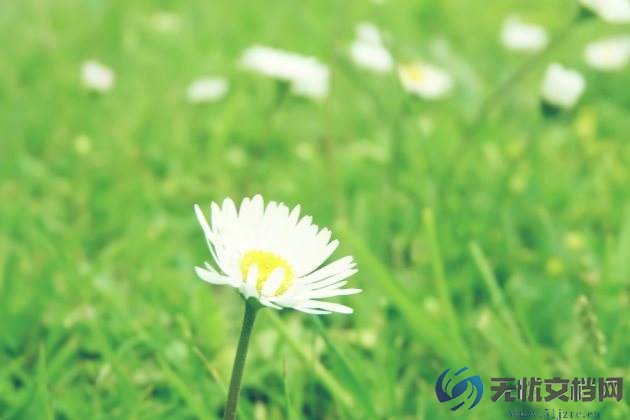 热门版大学生自我鉴定范文三篇