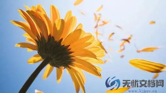 2022北京冬残奥会即将举行 中国代表团成立