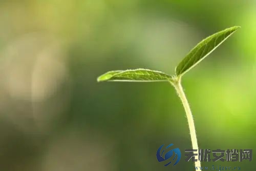 大学生自我鉴定实用参考范文三篇