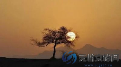 关于严厉打击拐卖妇女儿童犯罪行为以及处罚