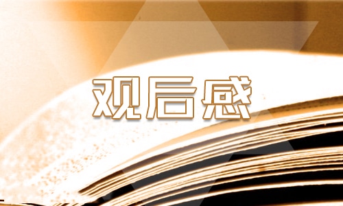 “红领巾”观后心得感悟