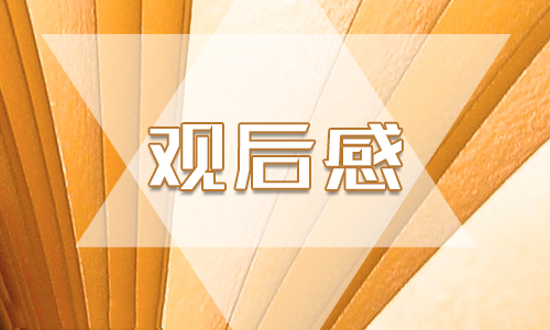 榜样5观后心得范本