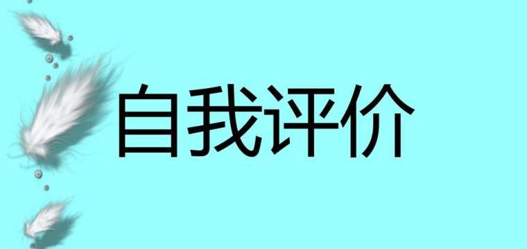 学生自评总结